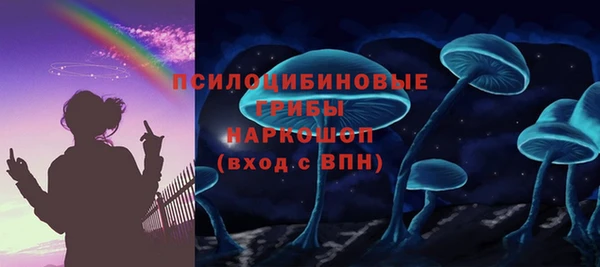 соль ск Аркадак