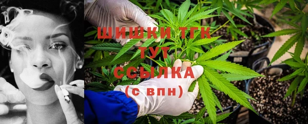 экстази Арсеньев